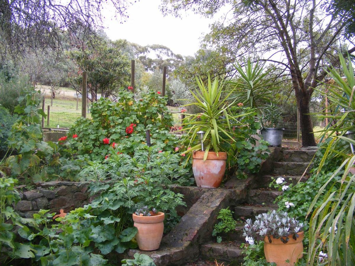 Trevalia Accommodation Penwortham Экстерьер фото