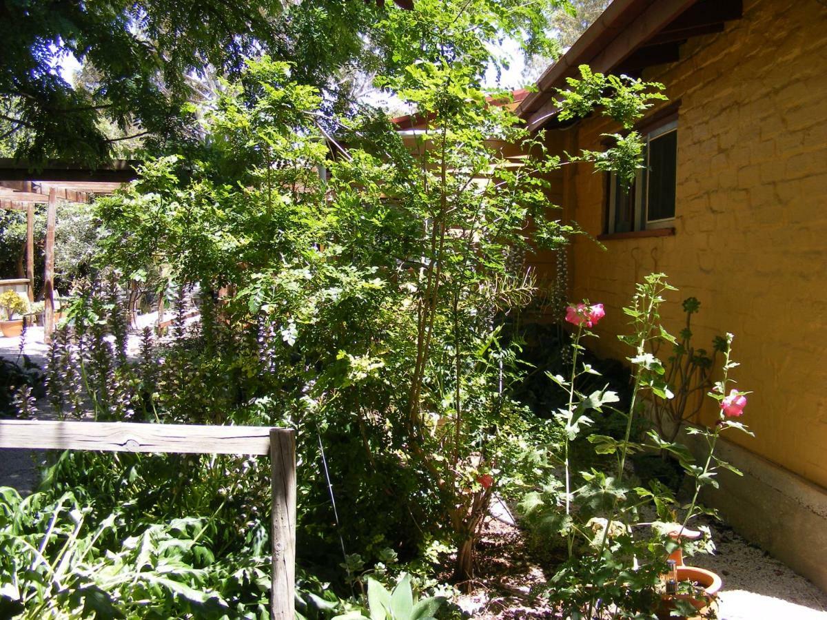 Trevalia Accommodation Penwortham Экстерьер фото